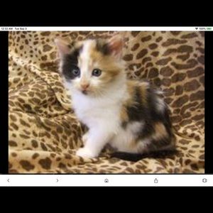 Meet your Posher, Jackie